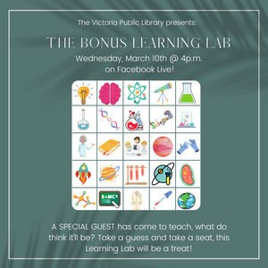 The Bonus Learning L